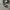 Converse Allstar Hi Black White photo 1
