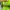 Saucony   photo 6