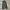 BAGGY JEANS DARK GREY - VIVACIOUS  photo 7