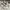 Dickies chino pants khaki slim straight photo 3