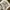 Woolrich Utility Vest Multipocket Tactical photo 5