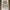 Woolrich Utility Vest Multipocket Tactical photo 1
