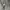 Woolrich Utility Vest Multipocket Tactical photo 8