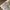 Woolrich Utility Vest Multipocket Tactical photo 7