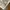 Woolrich Utility Vest Multipocket Tactical photo 6