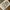 Woolrich Utility Vest Multipocket Tactical photo 2