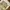 Utility Multipocket Vest Tactical Outdoor photo 4