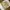 Utility Multipocket Vest Tactical Outdoor photo 3