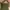 Love Bonito Casual Cami top Wanita green photo 2