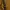 T shirt Tapped Fred perry Brown Gold photo 5