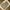 Vintage Carhartt Canvas Brown Sherpa Lined Distressed Workwe