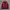 Trespass Trestex DLX OUTDOOR JACKET Waterproof photo 3