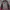 Trespass Trestex DLX OUTDOOR JACKET Waterproof photo 5