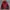 Trespass Trestex DLX OUTDOOR JACKET Waterproof photo 1