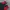 Trespass Trestex DLX OUTDOOR JACKET Waterproof photo 8