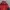 Trespass Trestex DLX OUTDOOR JACKET Waterproof photo 2