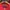 Blackyak Goretex Gorpcore Winter Goose Down Jacket photo 6