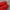 Blackyak Goretex Gorpcore Winter Goose Down Jacket photo 8