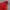 Blackyak Goretex Gorpcore Winter Goose Down Jacket photo 4