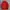 Blackyak Goretex Gorpcore Winter Goose Down Jacket