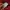 Blackyak Goretex Gorpcore Winter Goose Down Jacket photo 7
