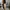 CORDUROY PANTS BAGGY by JEMUT photo 2