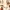 Michael Kors MK Signature Ring Tote East West Vanilla & Brow photo 7
