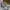 Y2K Indie Sneakers Pria white gray photo 6