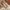 cotton on cotton on kids shoes,size ( 8 ) 25-26 kids shoes photo 2