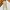 Chino Pants P*OLHAM Slim fit Creamy - Size 31 photo 2