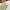 Chino Pants Classic UN*QLO Regular fit - Size 34 photo 3