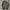 Carhart  photo 5