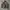 Carhart  photo 1