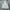 HOODIE PALACE SKATEBOARDS SKELEDON HOOD GREY photo 1