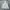 HOODIE PALACE SKATEBOARDS SKELEDON HOOD GREY