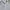 HOODIE PALACE SKATEBOARDS SKELEDON HOOD GREY photo 4