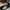 Timberland Loafer Pria black photo 4