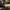 Timberland Loafer Pria black photo 5