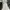 Axes Femme Fairy Minimalist Going out dress Wanita white photo 4