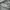 hoodie ebbets field EBFD AUTHENTIC logo grey photo 5