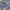 hoodie ebbets field EBFD AUTHENTIC logo grey photo 3