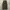 Code graphy nylon string wide pants olive photo 3