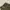 Code graphy nylon string wide pants olive photo 5