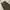 Code graphy nylon string wide pants olive photo 4