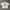 Ganni World Tee Women