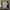 Umbro Streetwear Y2K Jersey Pria white photo 1