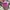 Coach Vintage Y2K Shoulder bag Wanita purple brown photo 5