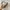 Coach Vintage Y2K Shoulder bag Wanita brown red photo 4
