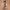 Canvas belt photo 1