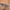 Canvas belt photo 3